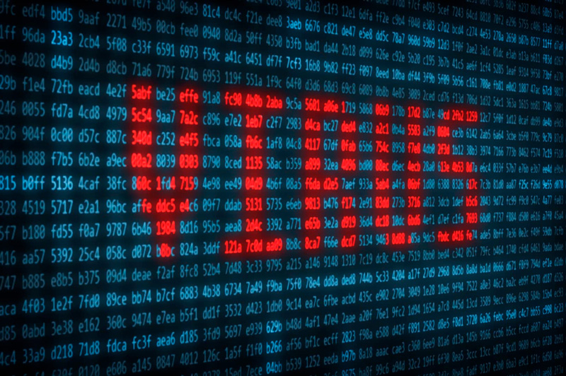 Вредоносные программы: как защитить себя